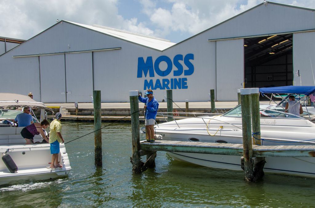 Moss Marine - Family Business